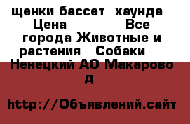 щенки бассет- хаунда › Цена ­ 20 000 - Все города Животные и растения » Собаки   . Ненецкий АО,Макарово д.